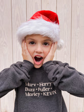 Home Alone Characters Adult Pullover