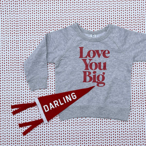 Love You Big Infant Pullover